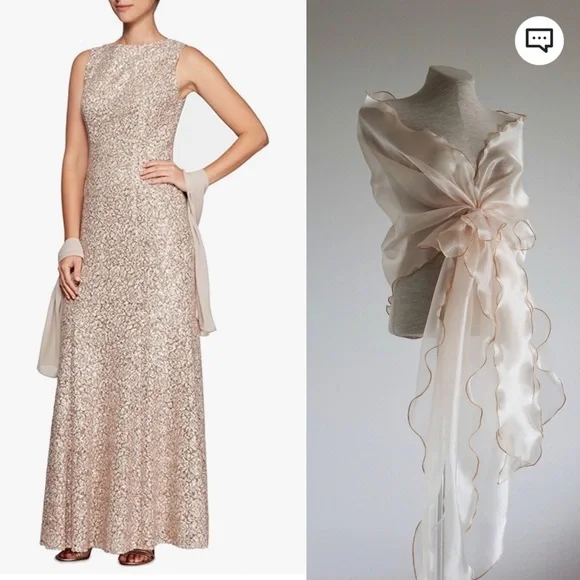 Alex Evenings Womens Long Sleeveless Dress with Custom Etsy Shawl - Picture 1 of 7
